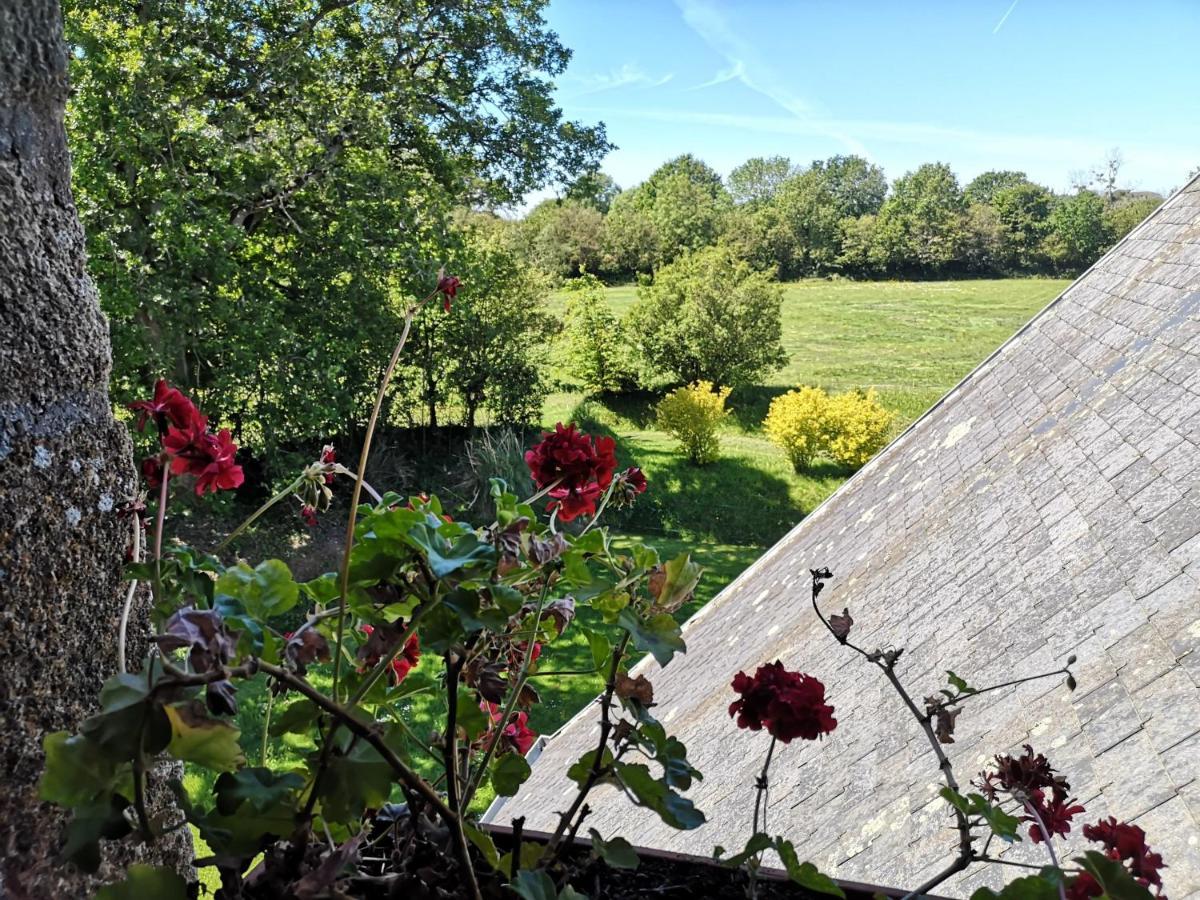 Manoir De La Foulerie Bed & Breakfast Ancteville ภายนอก รูปภาพ
